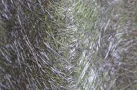 Picket Piece fibreglass roof work